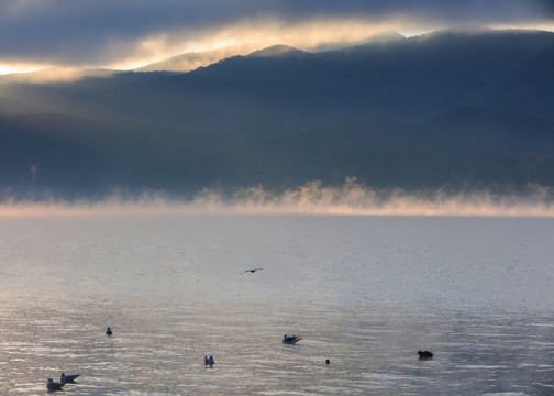 泸沽湖冬季候鸟栖息地