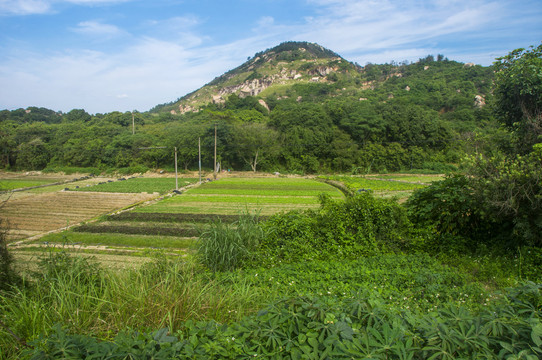 山野之色