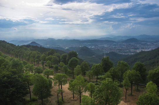 紫帽山山坡林木