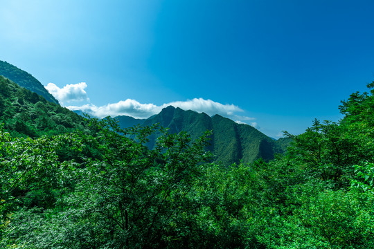 武陵山大裂谷