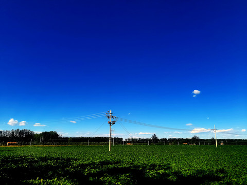 原野