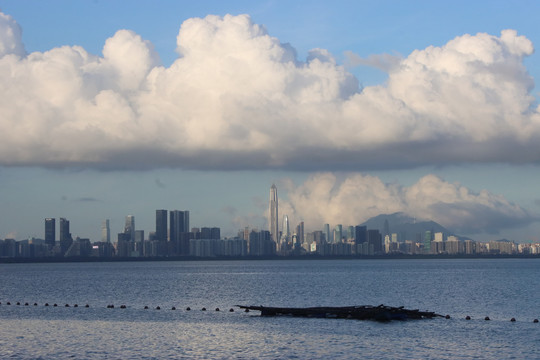 海滨城市都市海景深圳湾