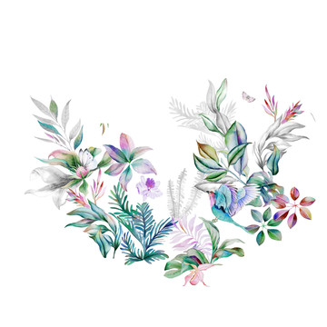 美式花鳥圖