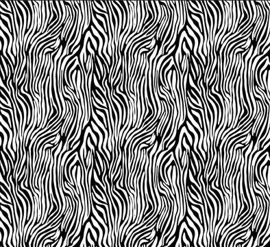 矢量斑馬紋