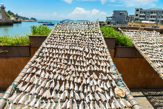 海鱼干