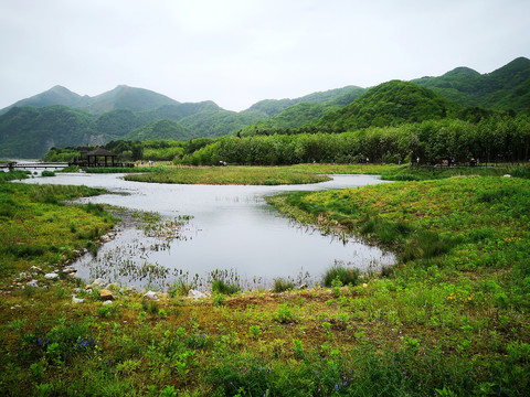 高山湿地