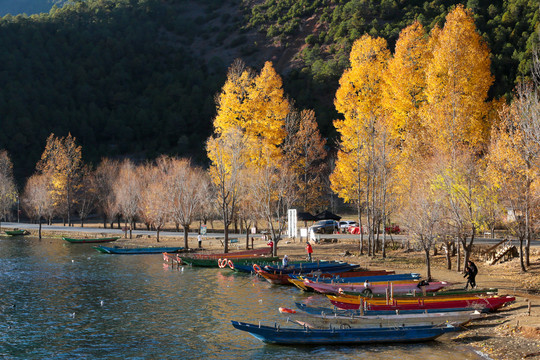 泸沽湖