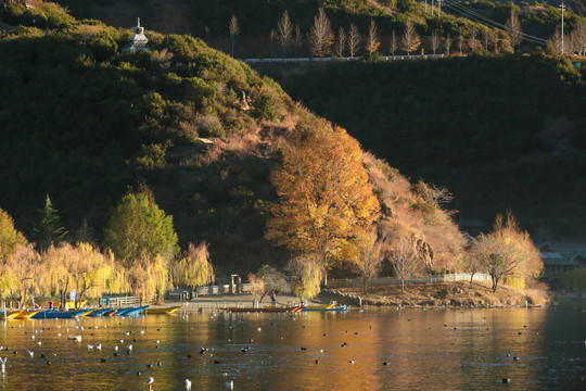 泸沽湖里格半岛晨曦