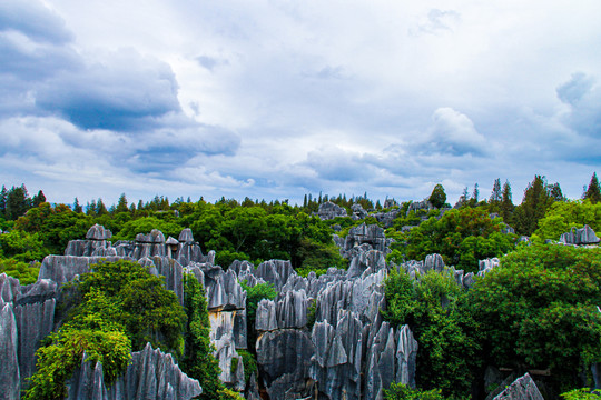 云南昆明石林风景名胜区