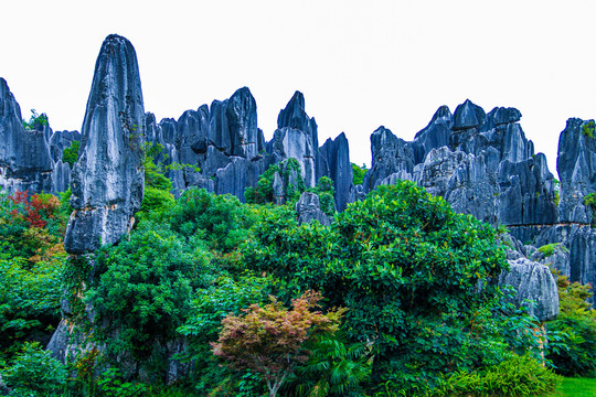 云南昆明石林风景名胜区