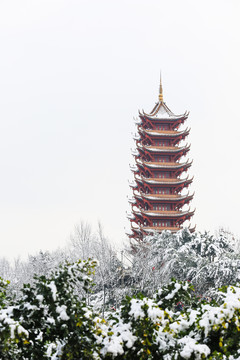 照母山风景