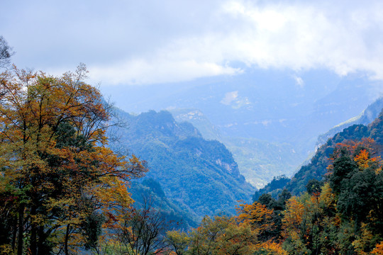 光雾山