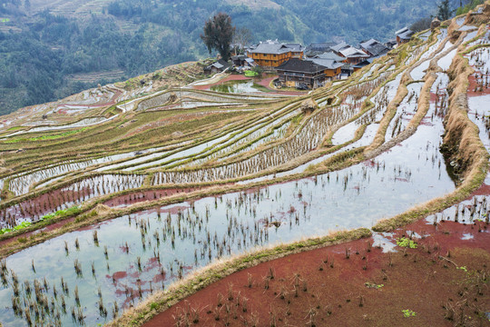 加榜梯田景观