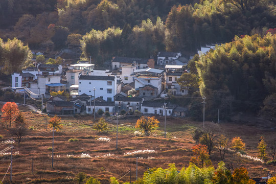 木坑竹海景区