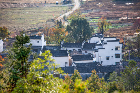 木坑竹海景区