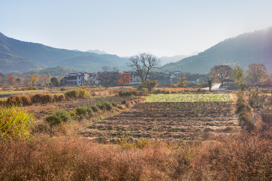 塔川村