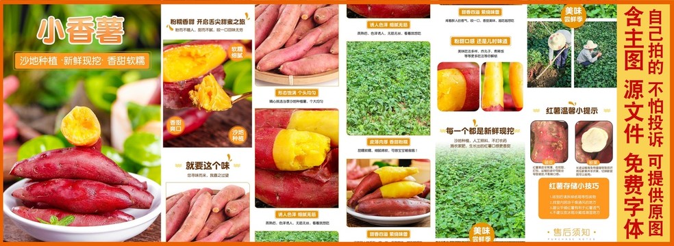 天目山小香薯詳情頁