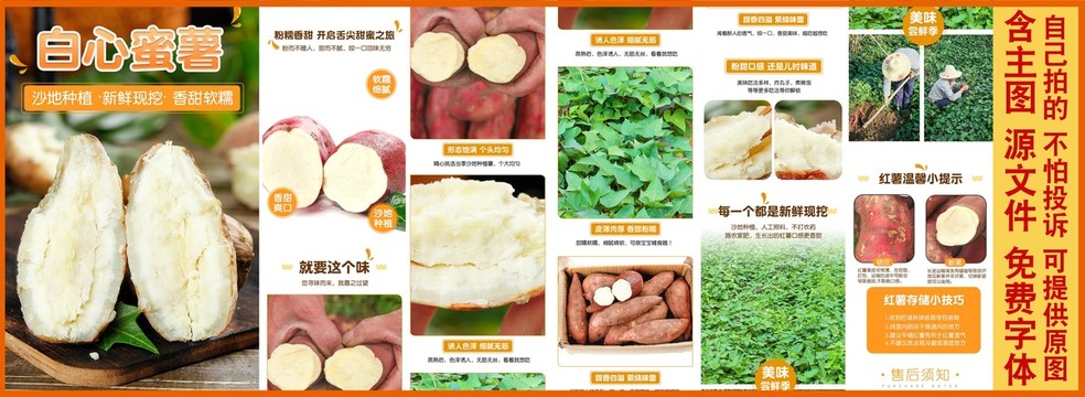 白心板栗紅薯詳情頁(yè)
