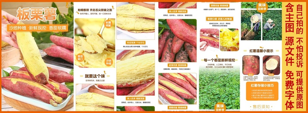 板栗紅薯詳情頁