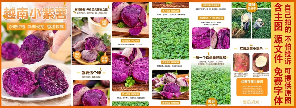 新鲜越南小紫薯详情页