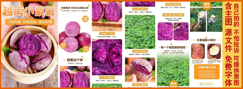 越南小紫薯詳情頁