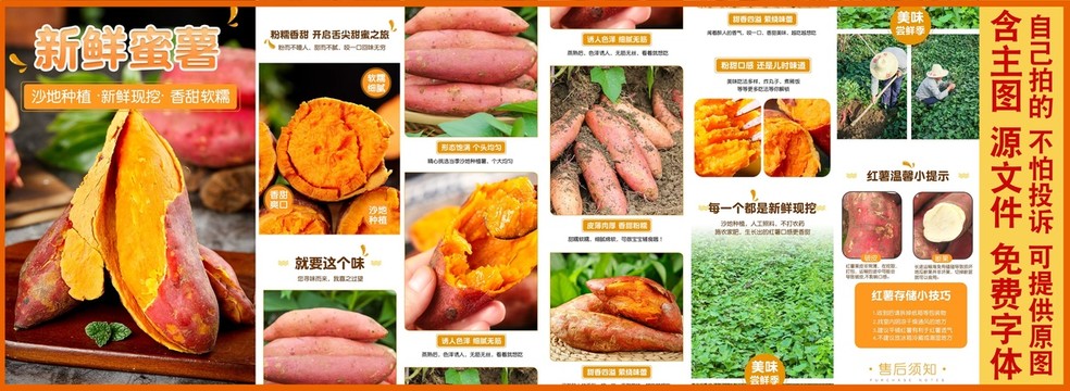 山東蜜薯詳情頁