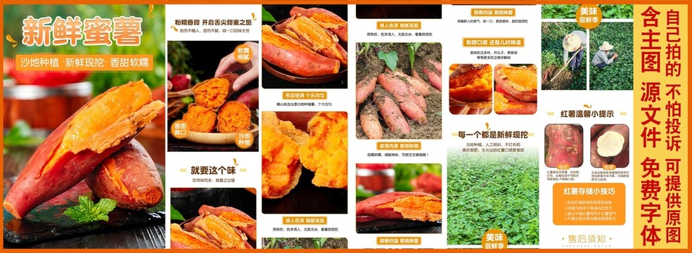 新鮮蜜薯詳情頁(yè)