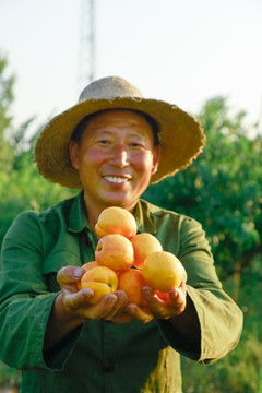农民手上捧着一堆黄油桃
