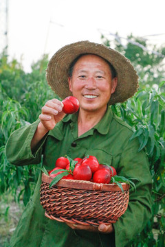 农民手上端着一筐红油桃