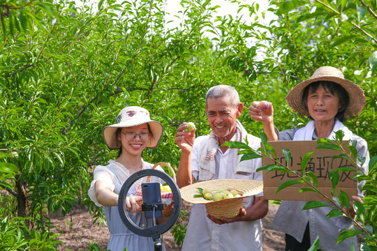 农民手上拿着现摘的蜂糖李