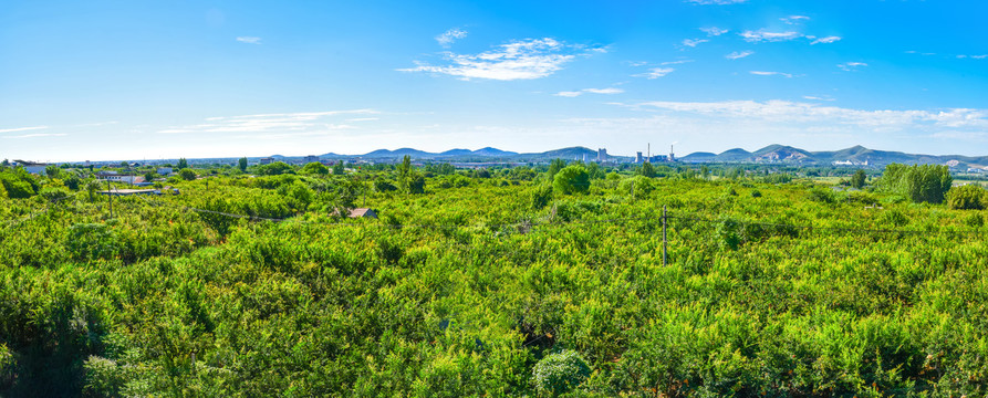 冠世榴园全景