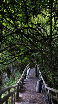 山间小道