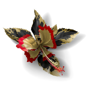 金色花紋朱槿花插圖