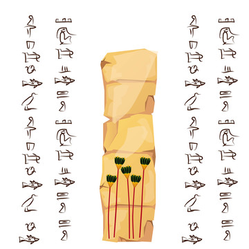 埃及文字植物插图