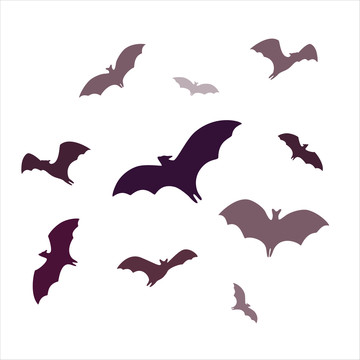 紫色蝙蝠剪影插图