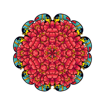 熱情紅花大嘴鳥插圖