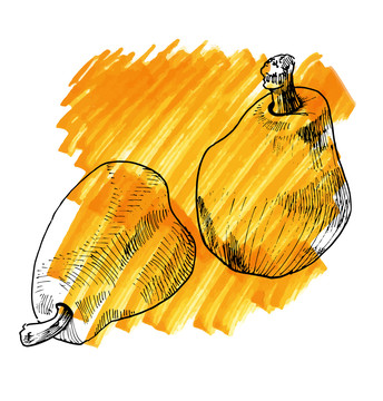 素描梨子插圖