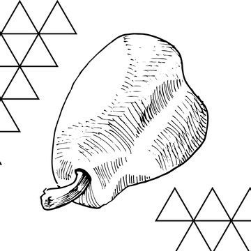 素描梨子靜物插圖