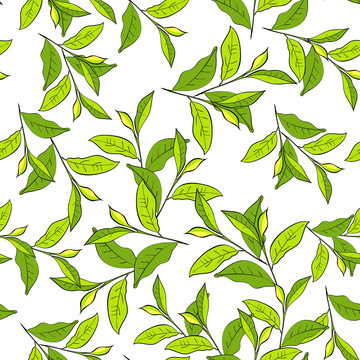 绿色茶叶叶片背景