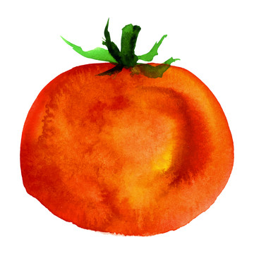 新鮮紅色西紅柿水彩插圖