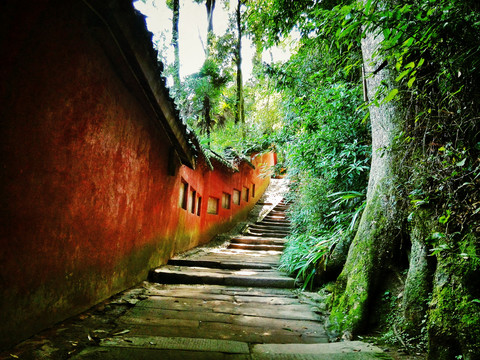 都江堰青城山天师洞