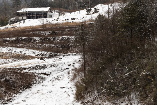 农村积雪覆盖的乡间小路