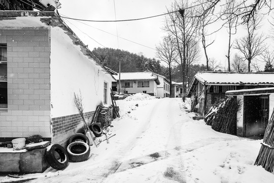 农村积雪覆盖的乡间小路