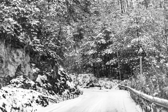 森林里积雪覆盖的林间小路
