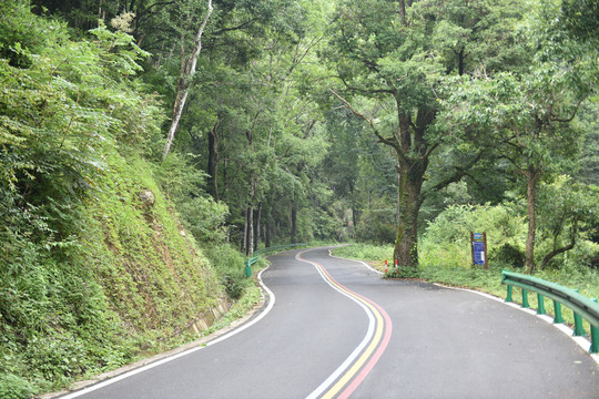 山间的小路