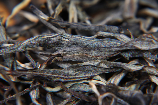 云南普洱茶散茶芽葉茶毫細(xì)節(jié)