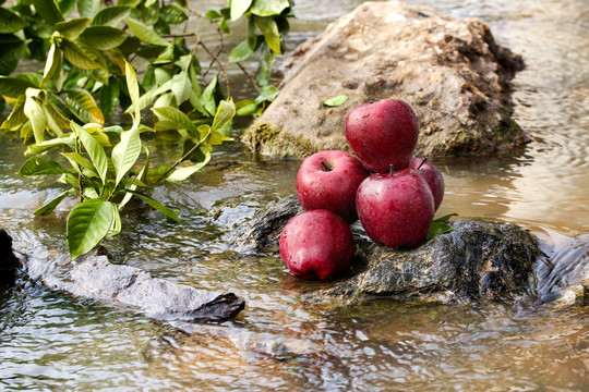 河边上放着一堆天水花牛苹果