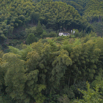 皖南大山里的小村直坑