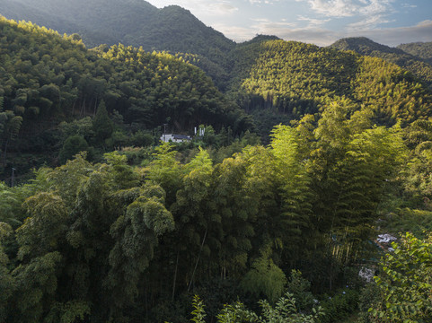 皖南大山里的小村直坑