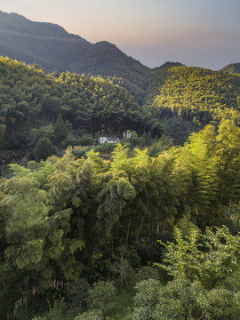 皖南大山里的小村直坑